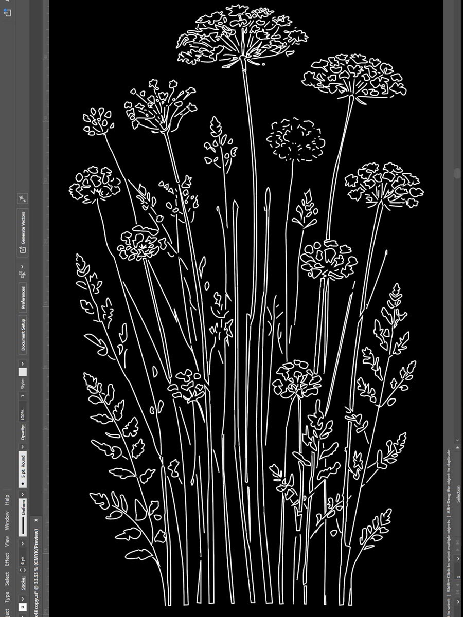 a screenshot of a canvas in Adobe Illustrator showing contour a drawing of an assortment of california-native wildflowers